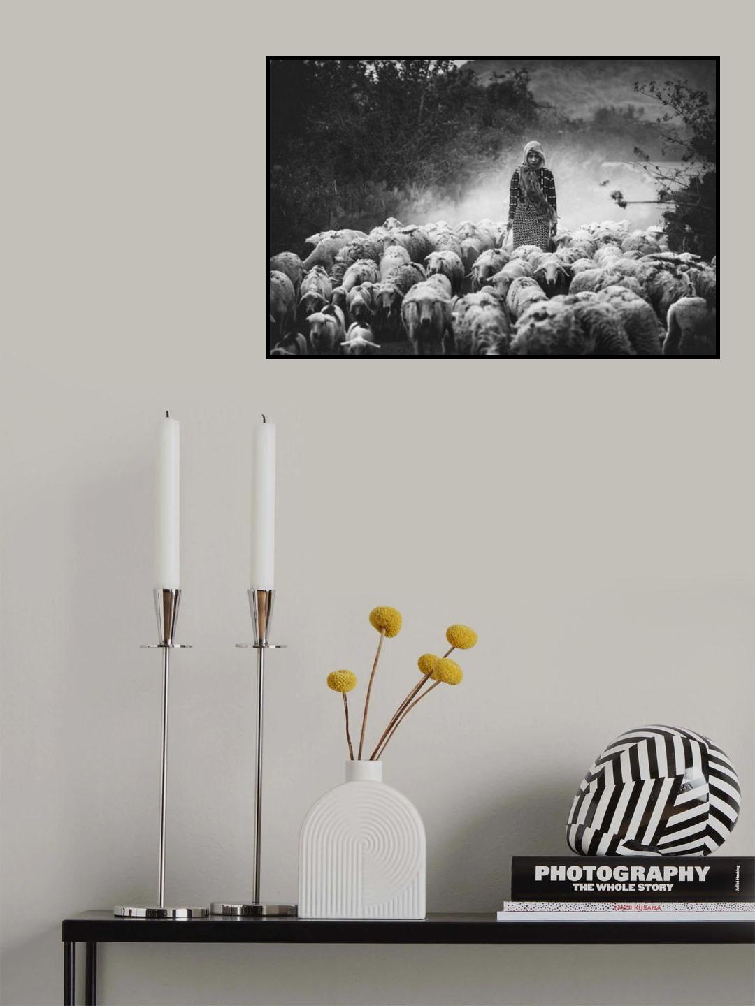 Shepherd Poster och Canvastavla