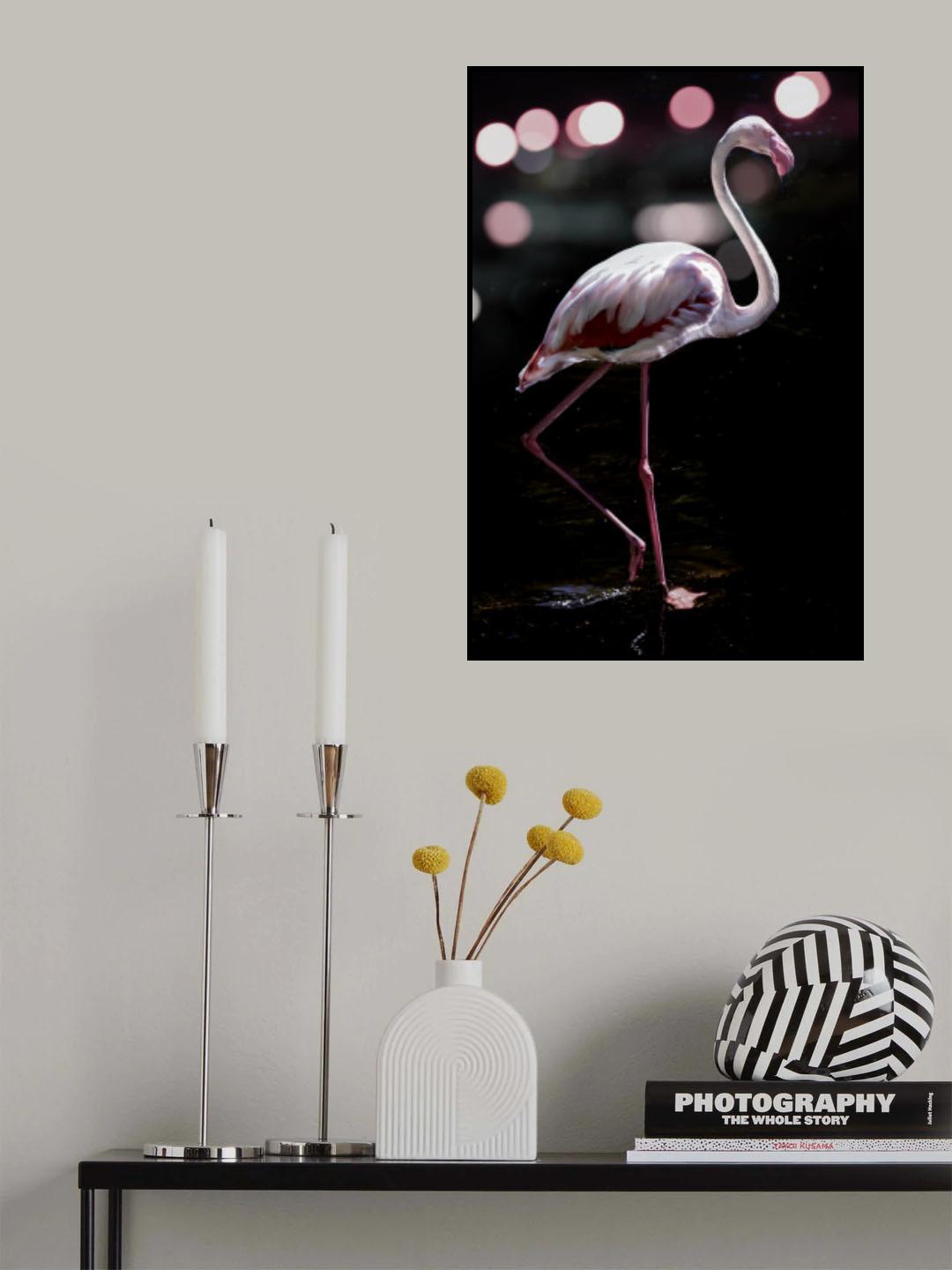 Dancing Flamingo Poster och Canvastavla
