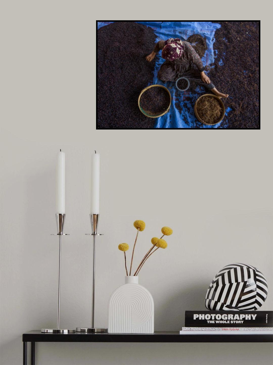 Grape Drying Poster och Canvastavla