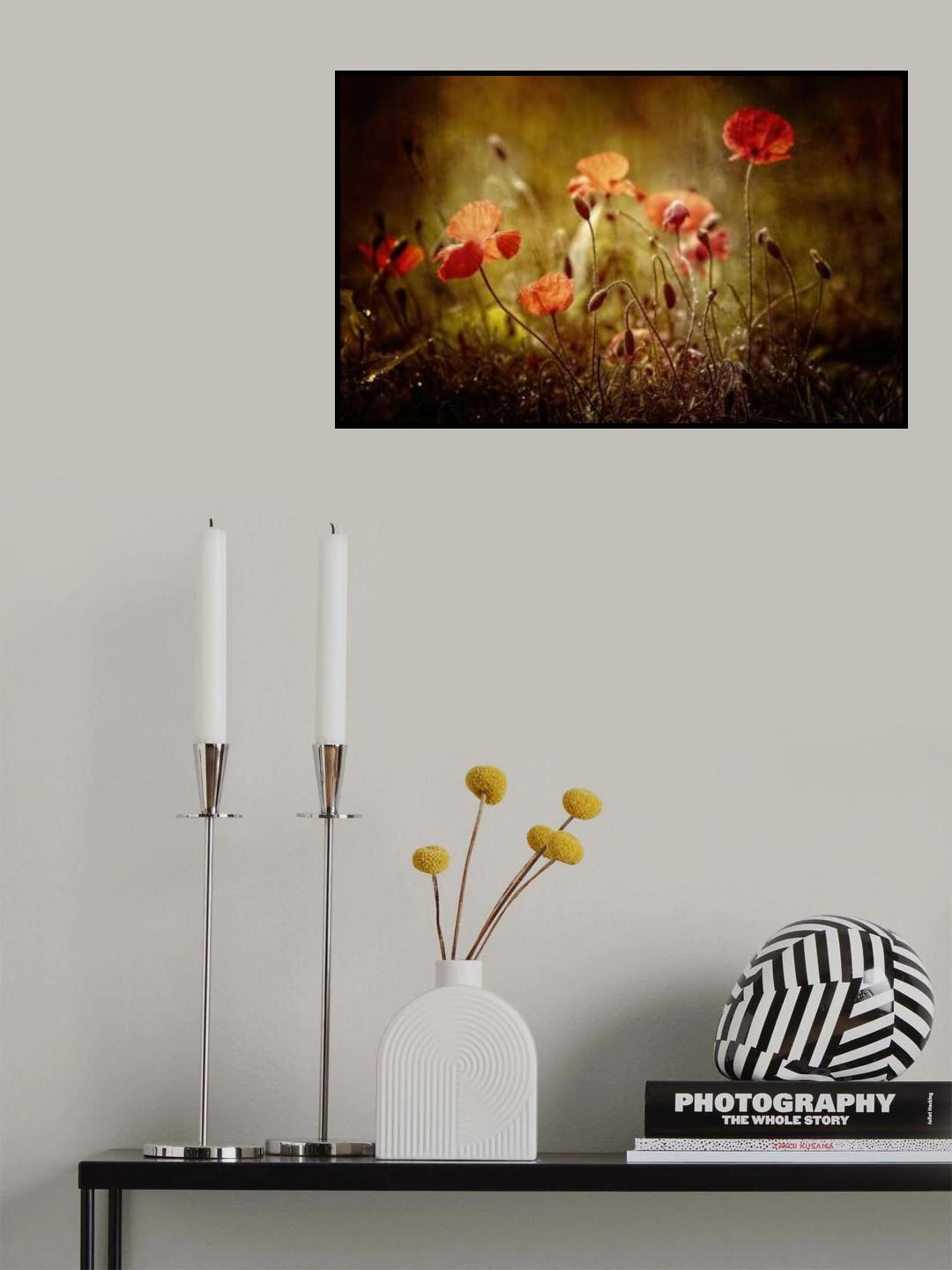 poppies Poster och Canvastavla