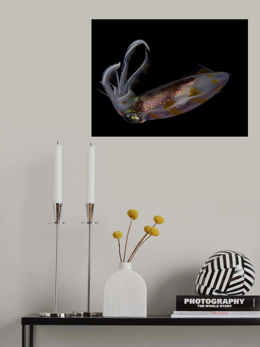 Squid Poster och Canvastavla