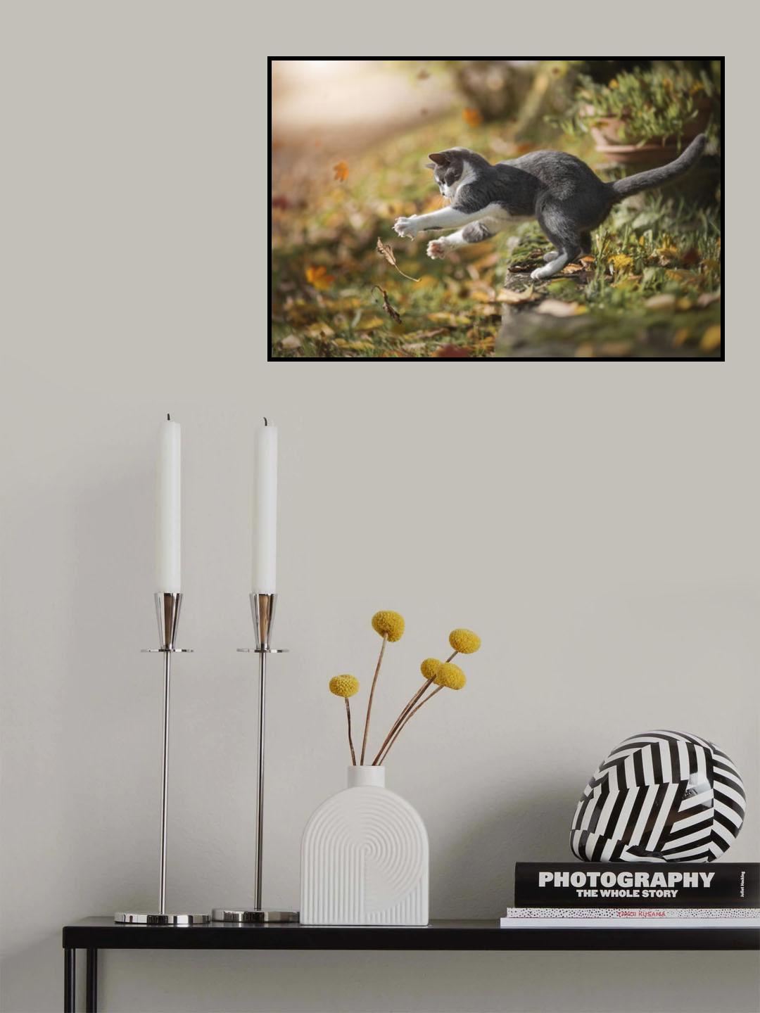 Autumn Play Poster och Canvastavla