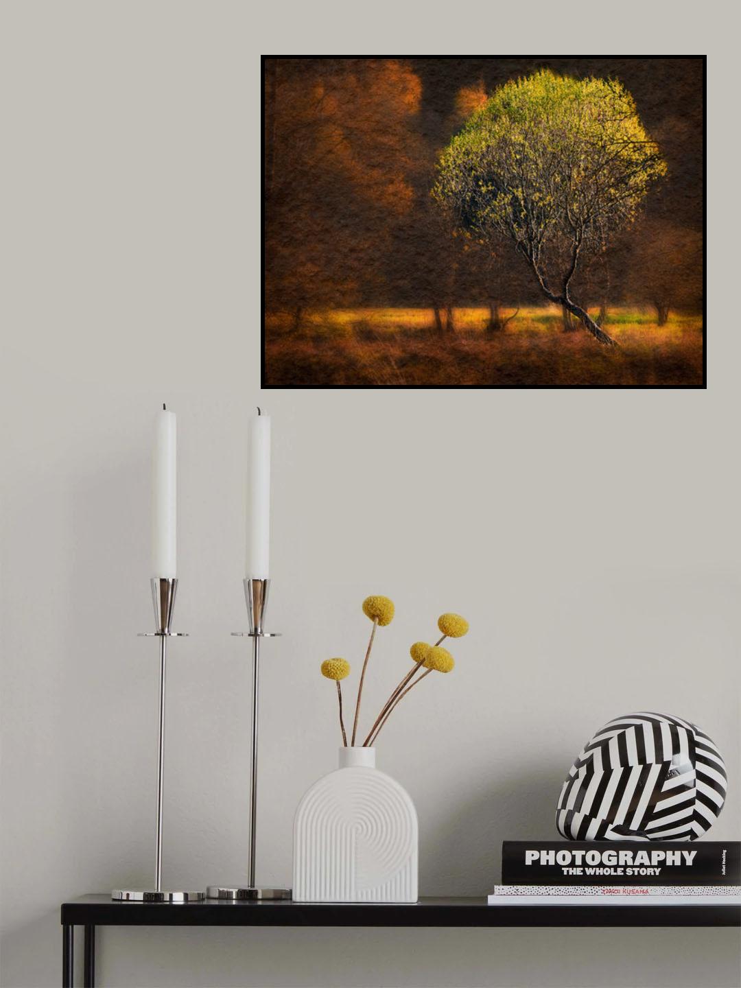 "Morning light" Poster och Canvastavla