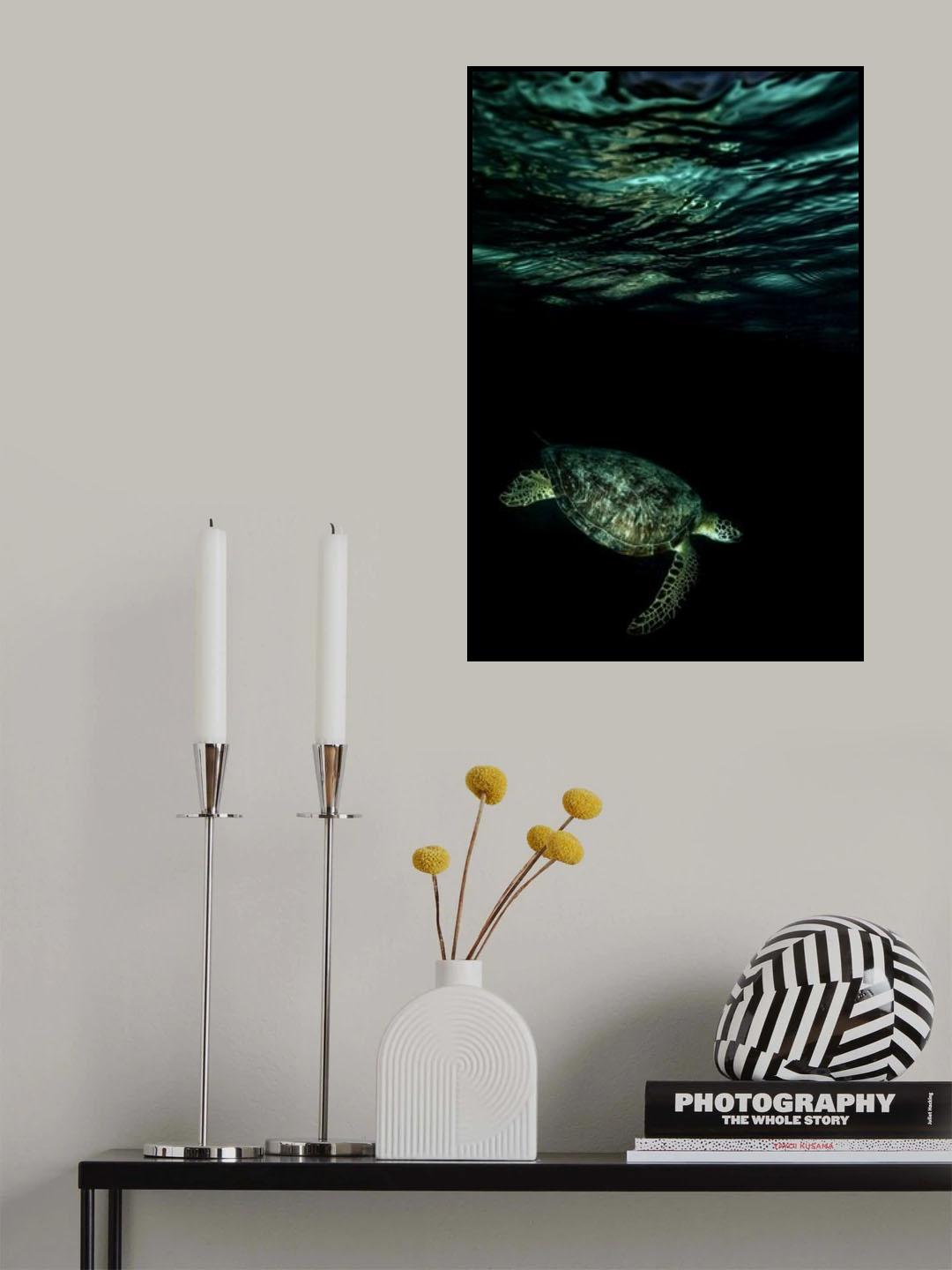 Into the night Poster och Canvastavla