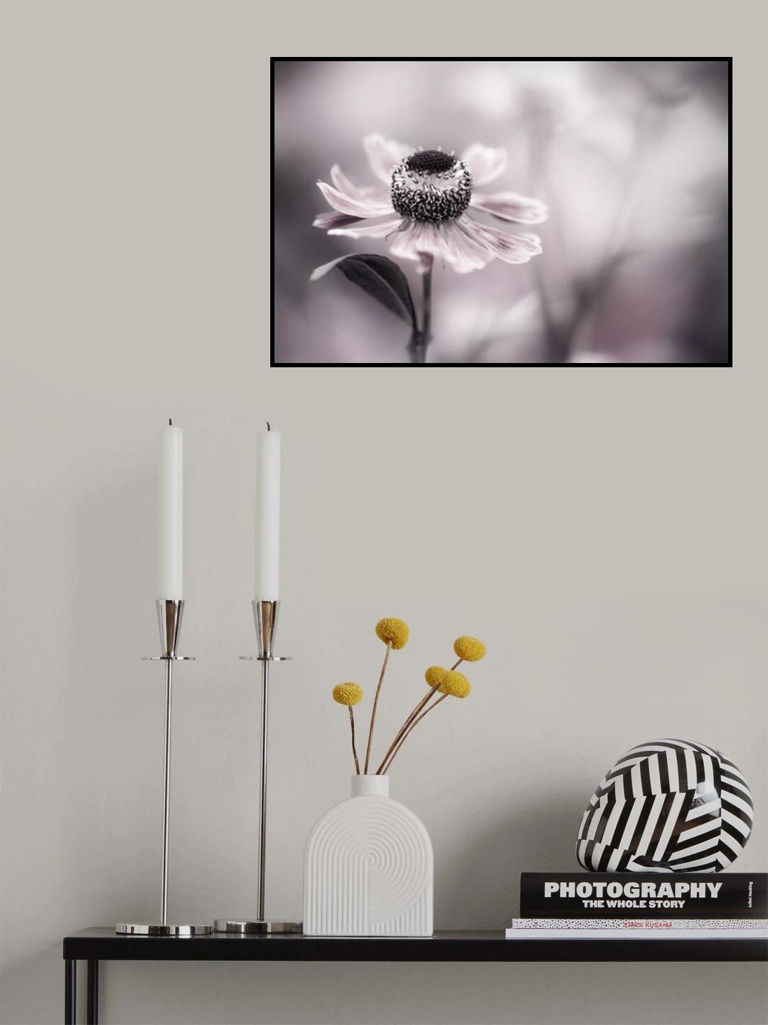 Helenium Poster och Canvastavla