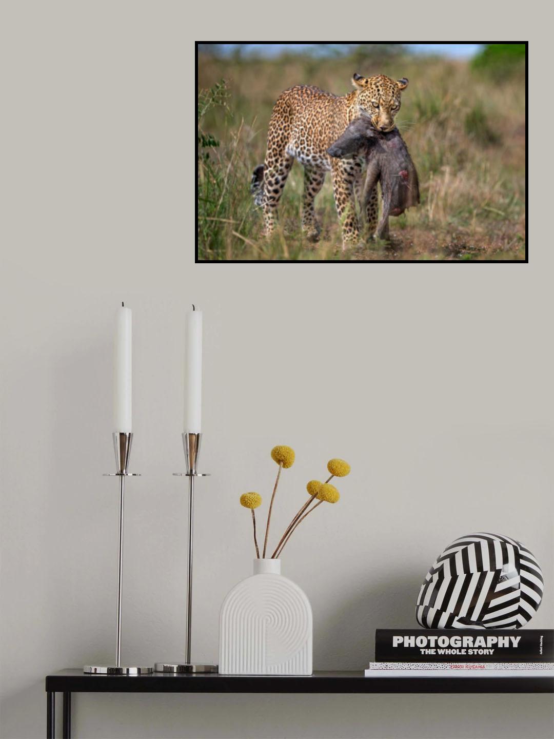 Leopard with prey Poster och Canvastavla