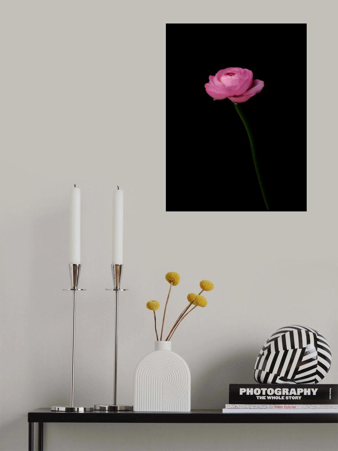 pink flower Poster och Canvastavla
