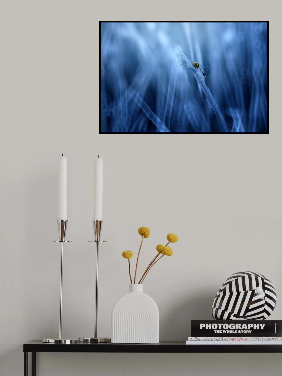 Dragonfly Poster och Canvastavla