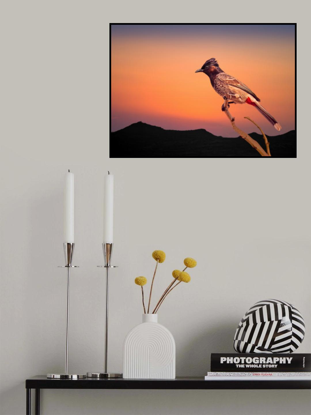 Bulbul Poster och Canvastavla