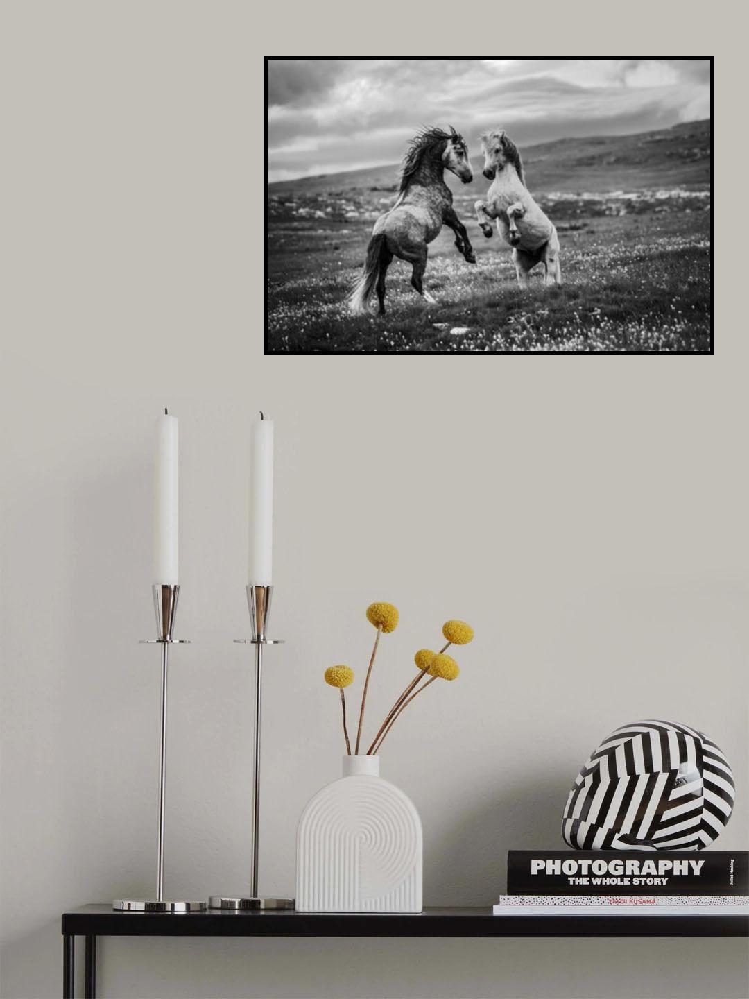 Wild and free Poster och Canvastavla
