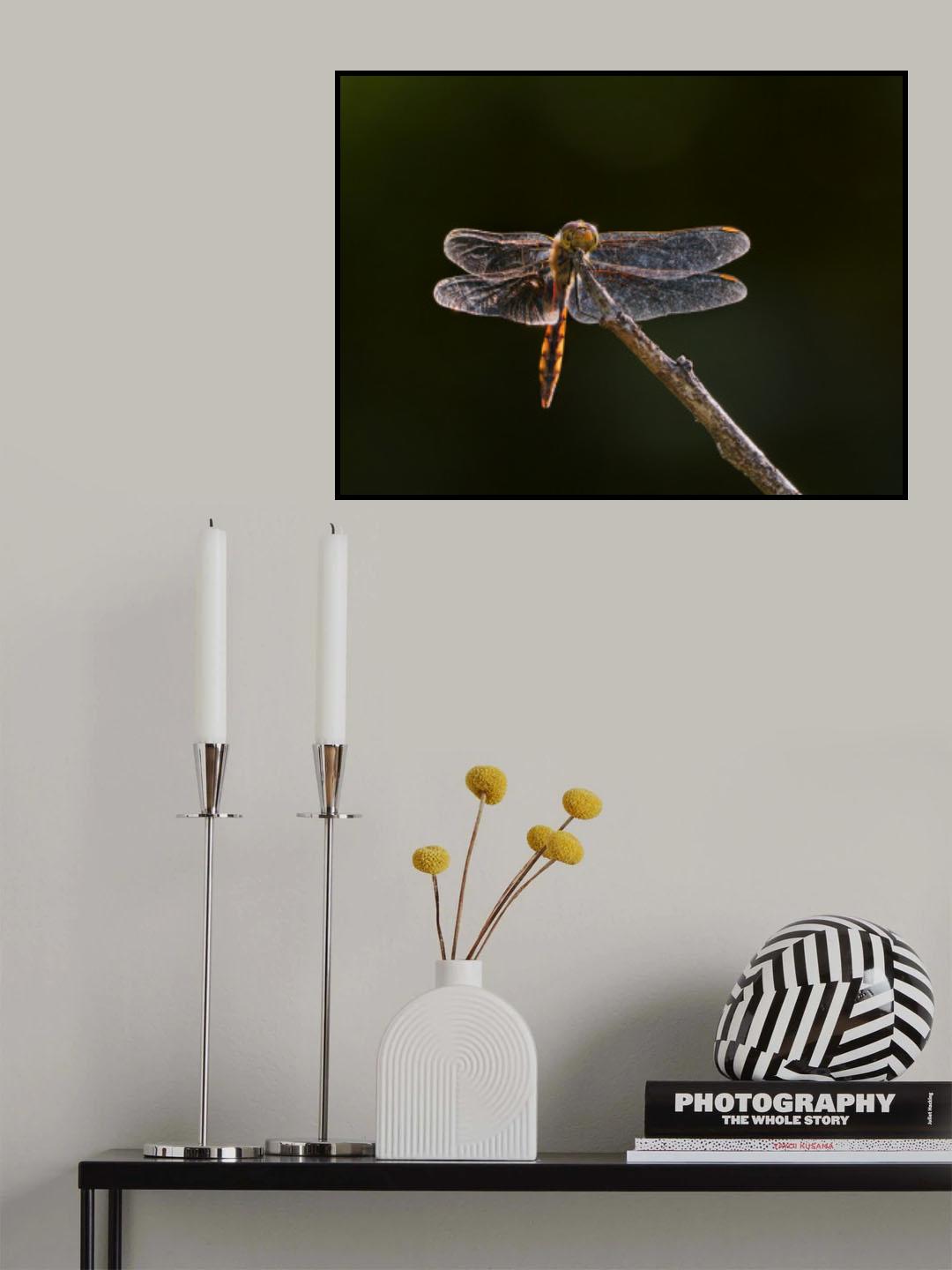 shining wings Poster och Canvastavla