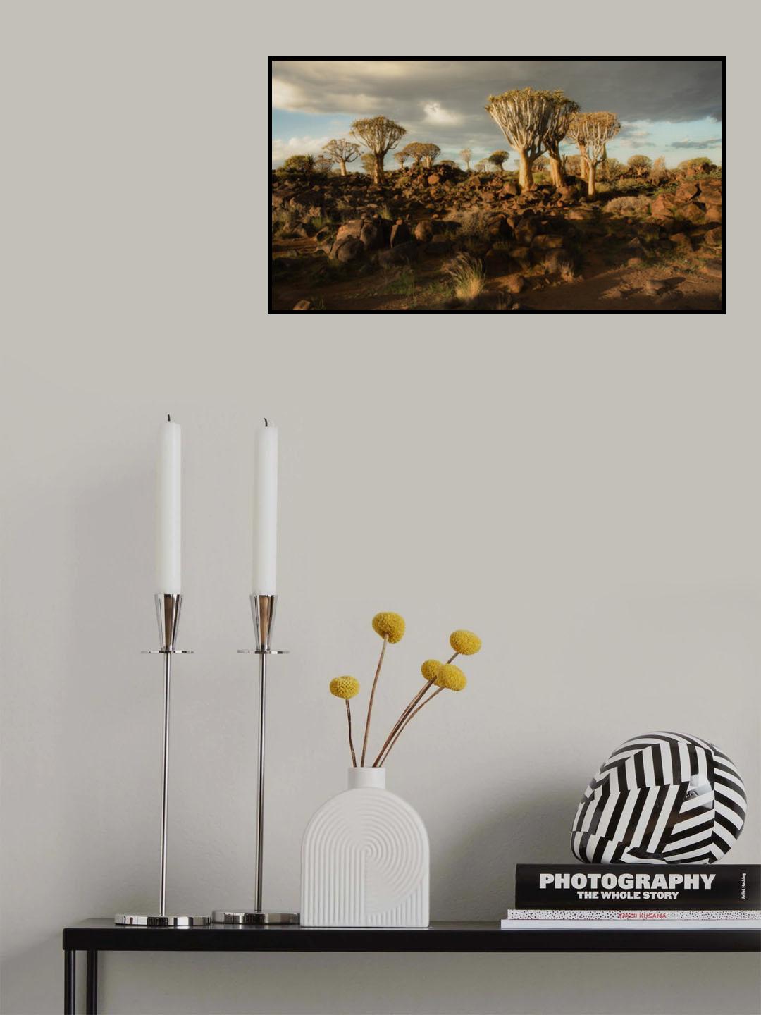evening light Poster och Canvastavla