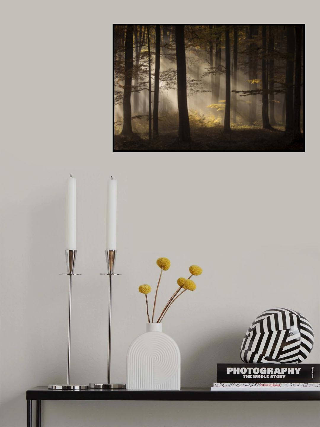 Hope into darkness Poster och Canvastavla