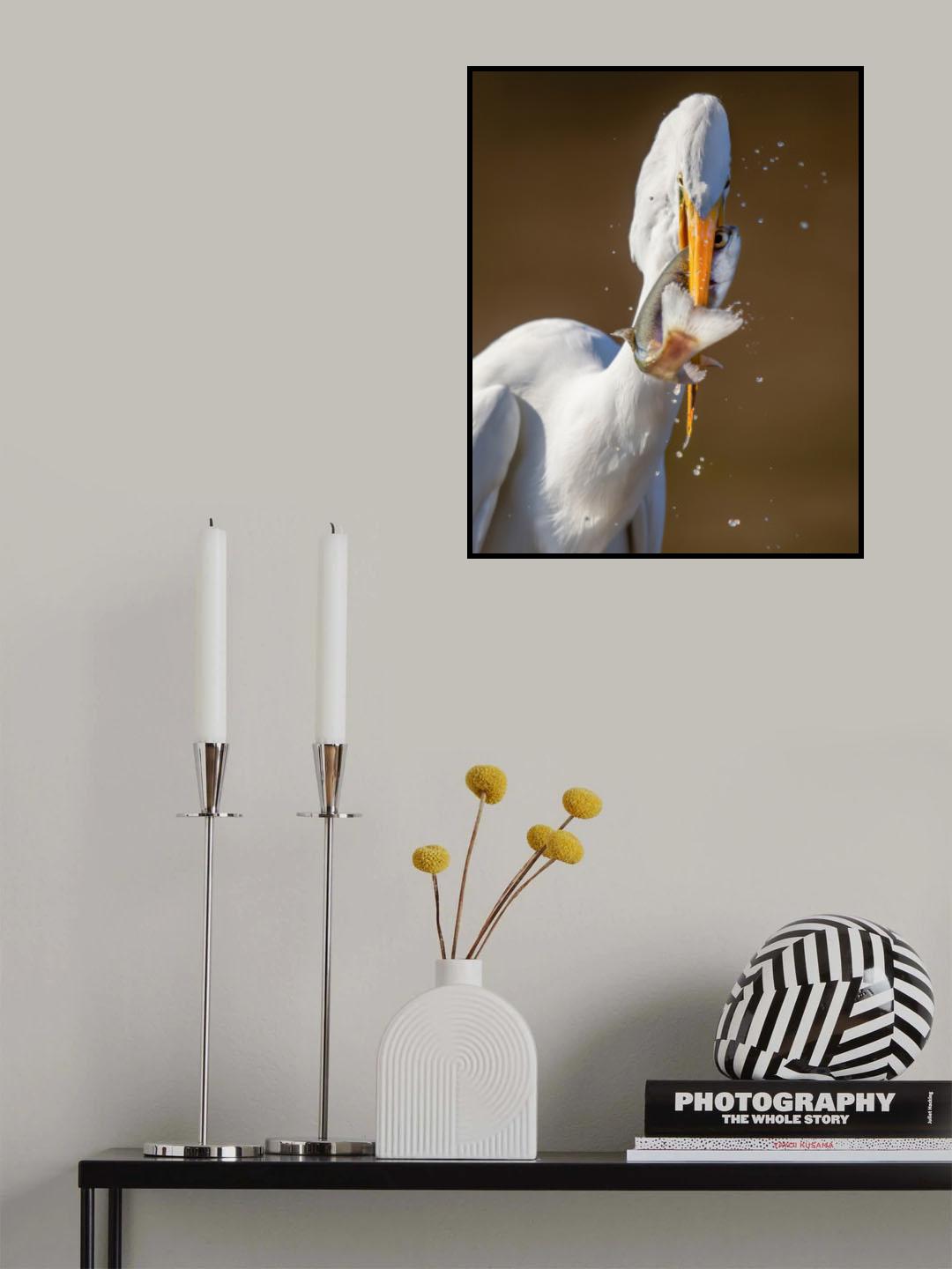 Poor fish! Poster och Canvastavla