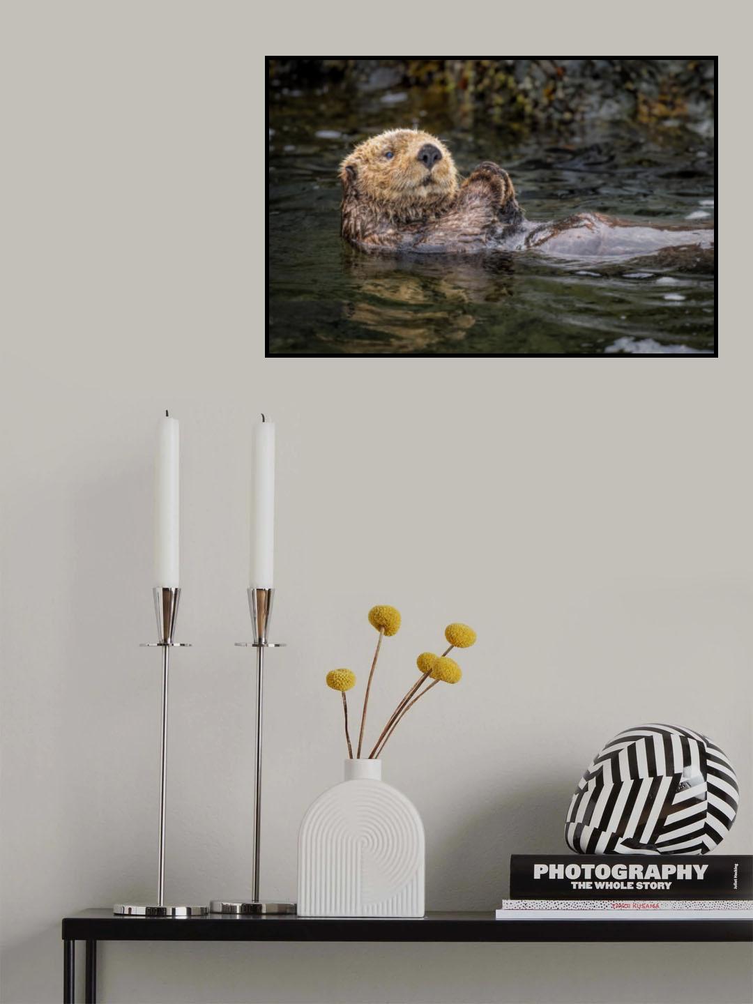 Cuteness personified Poster och Canvastavla