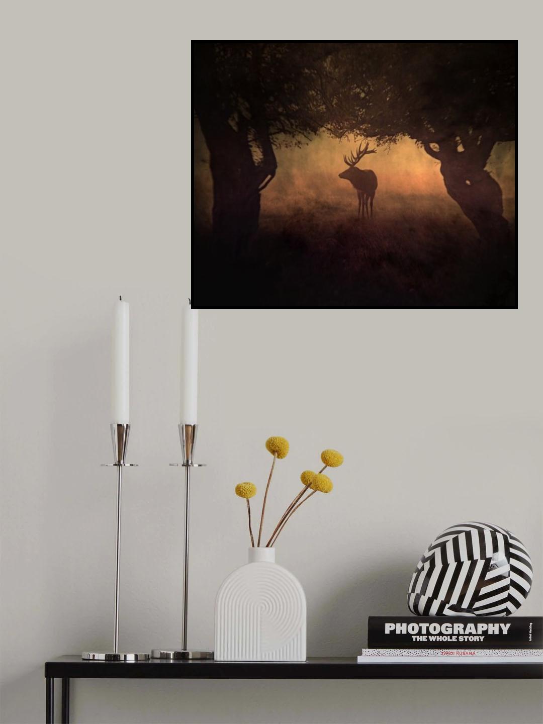 Coral King Poster och Canvastavla
