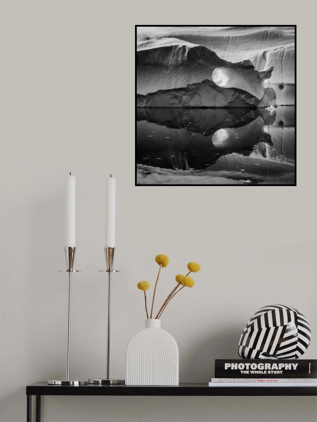 Triceratops Poster och Canvastavla