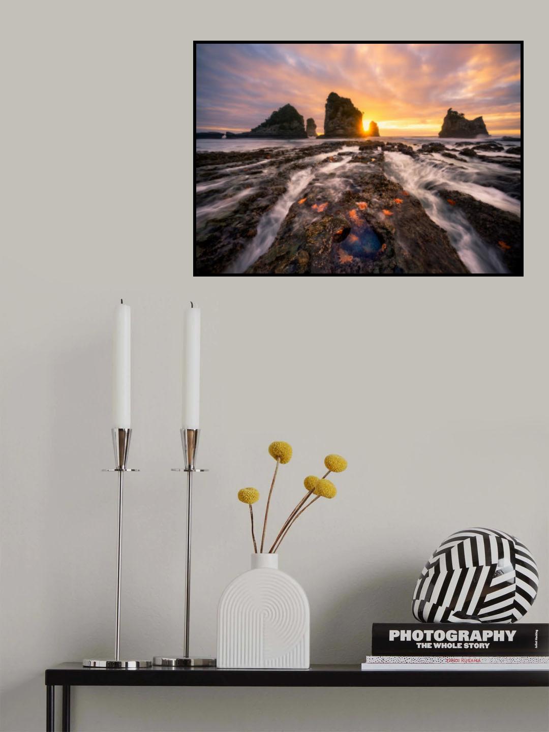 Starfish Home Poster och Canvastavla