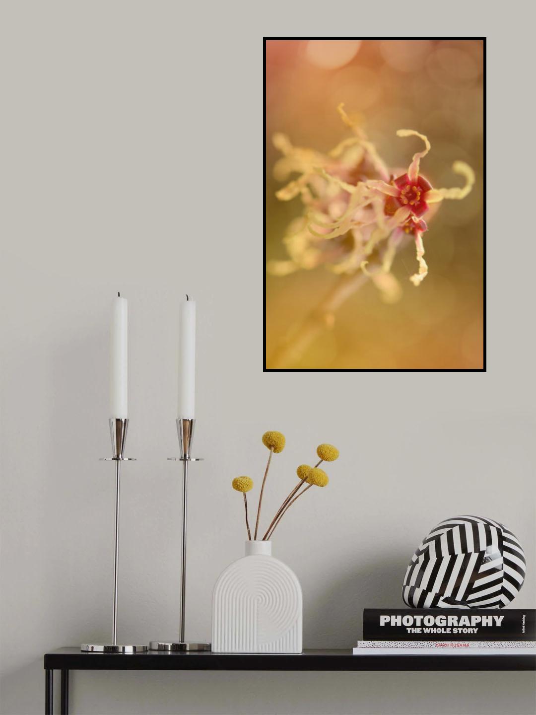Petals Poster och Canvastavla