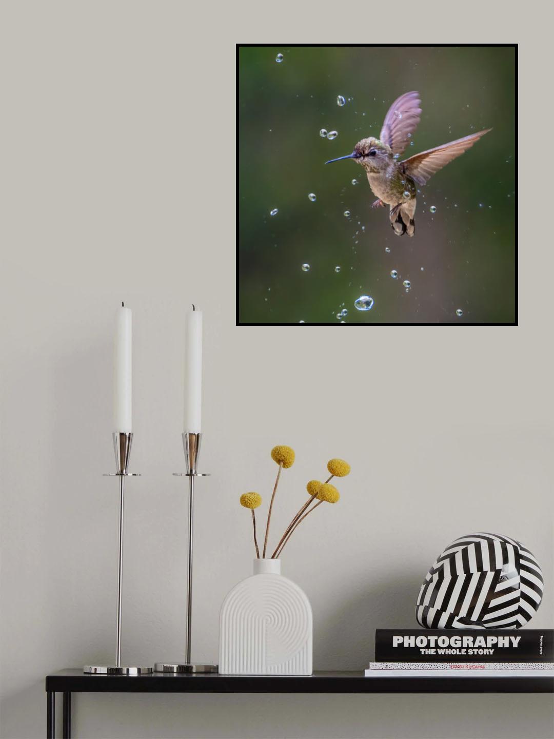 Through Water Drops Poster och Canvastavla