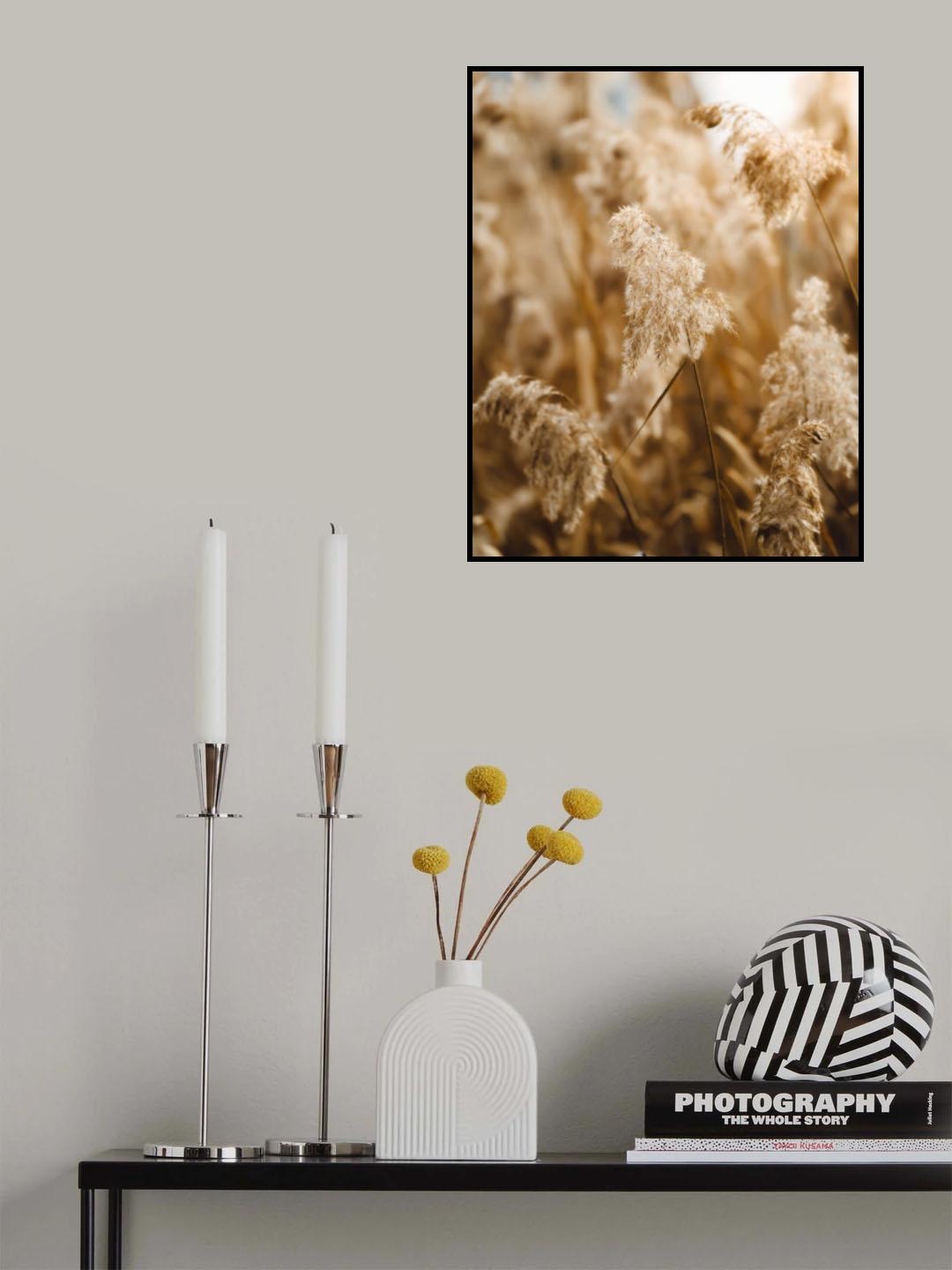 reed flower Poster och Canvastavla