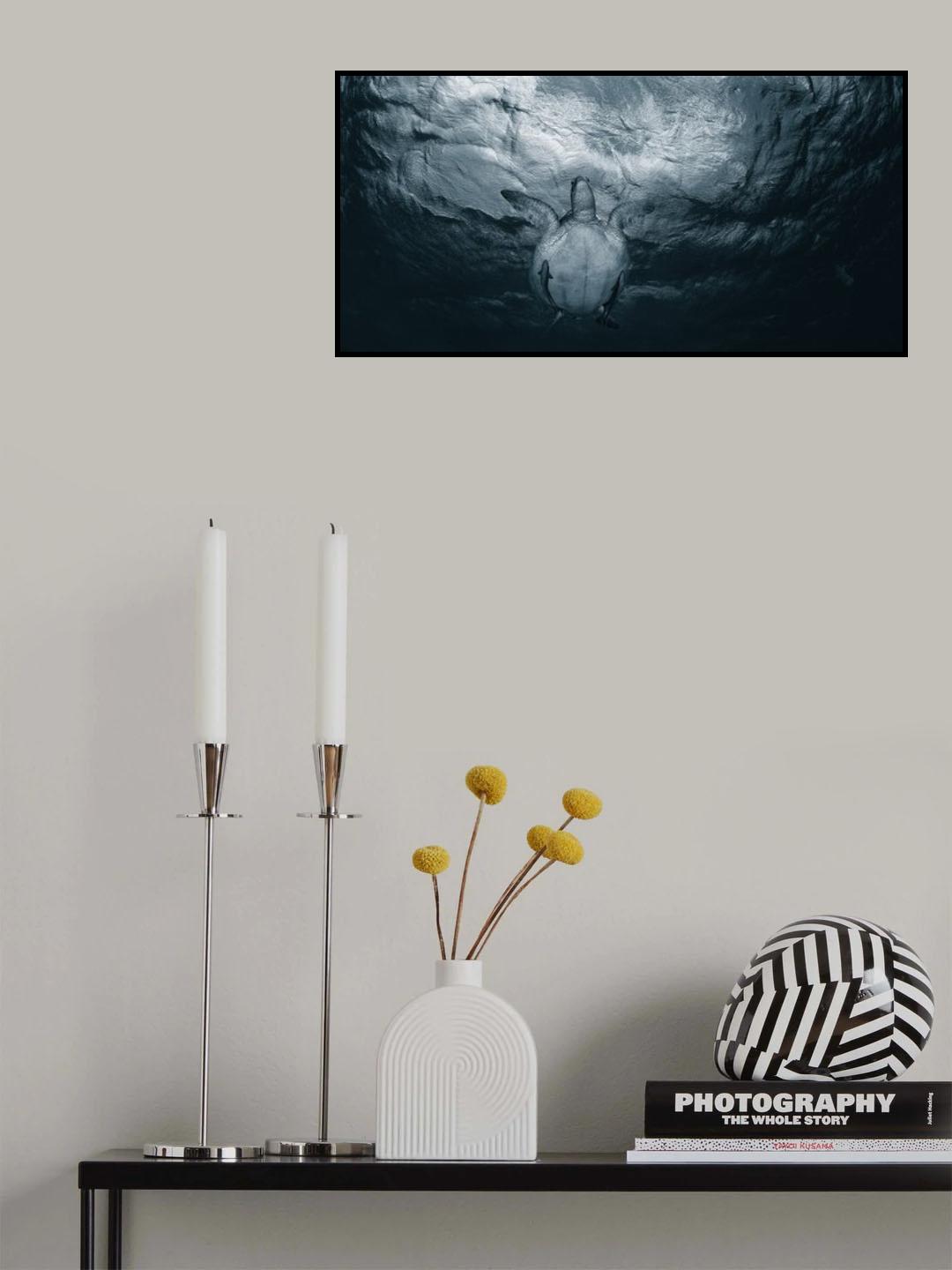 Pattern of the sea Poster och Canvastavla