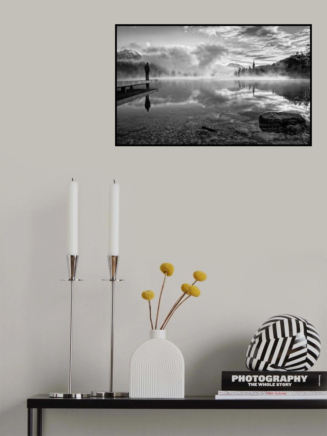 Admirer Poster och Canvastavla
