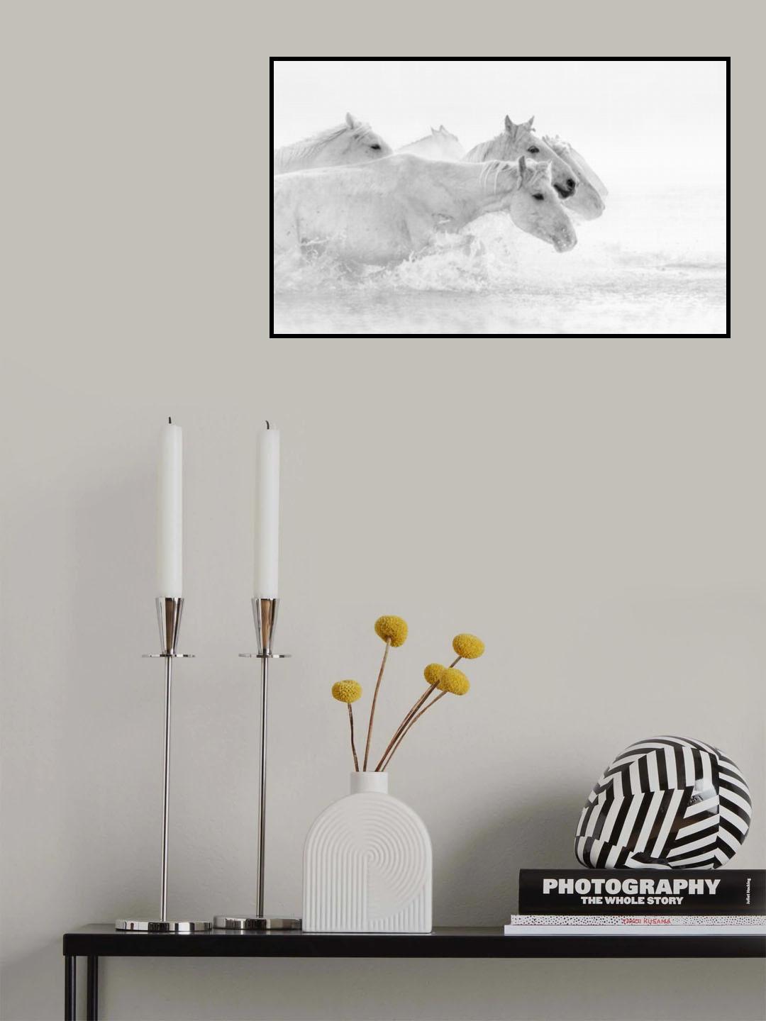 White horses Poster och Canvastavla