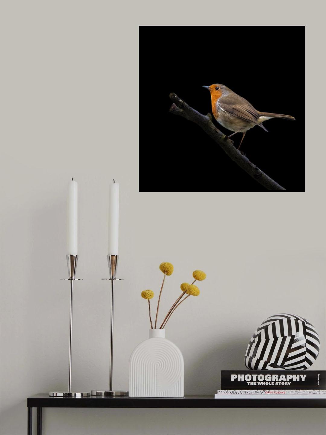 Poster och Canvastavla
