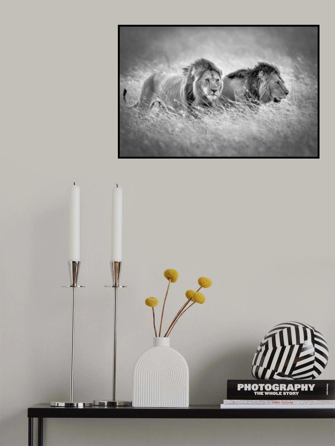 Emerging from the savanna #1 Poster och Canvastavla