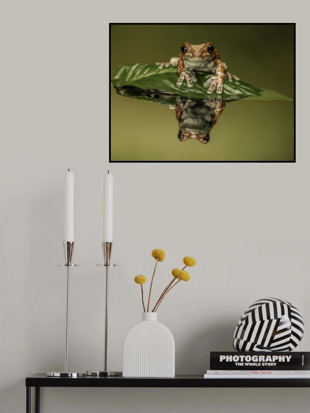 Amazon Milk Frog Poster och Canvastavla