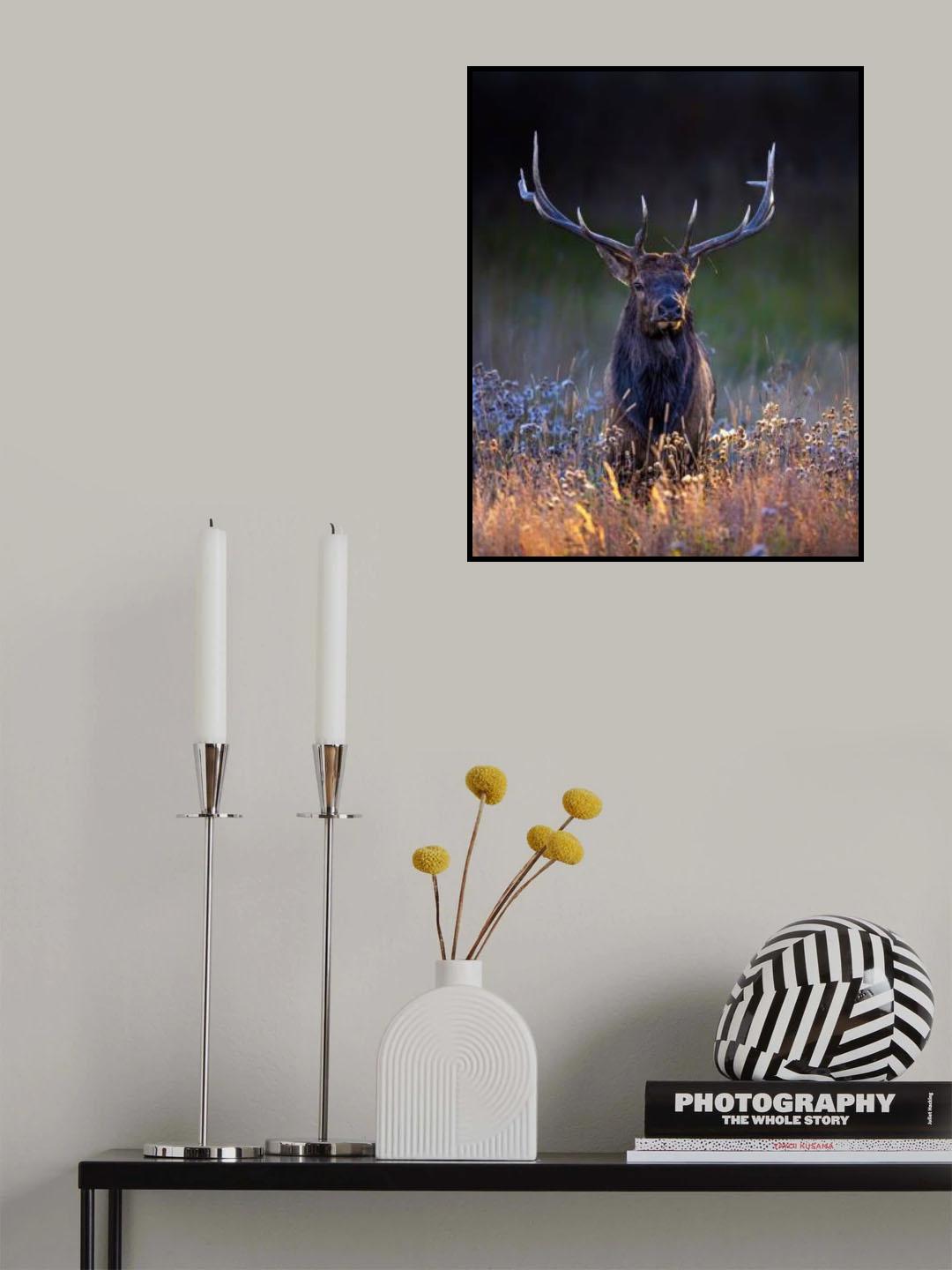 Bull Poster och Canvastavla