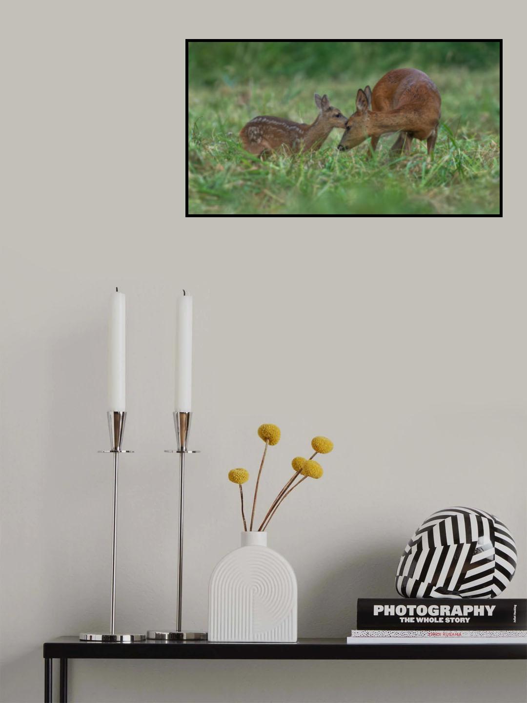 Poster och Canvastavla