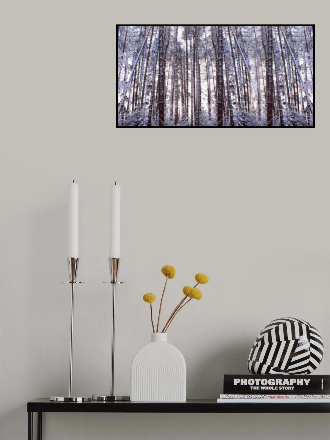 Panoramic Winter Pine Trees Poster och Canvastavla