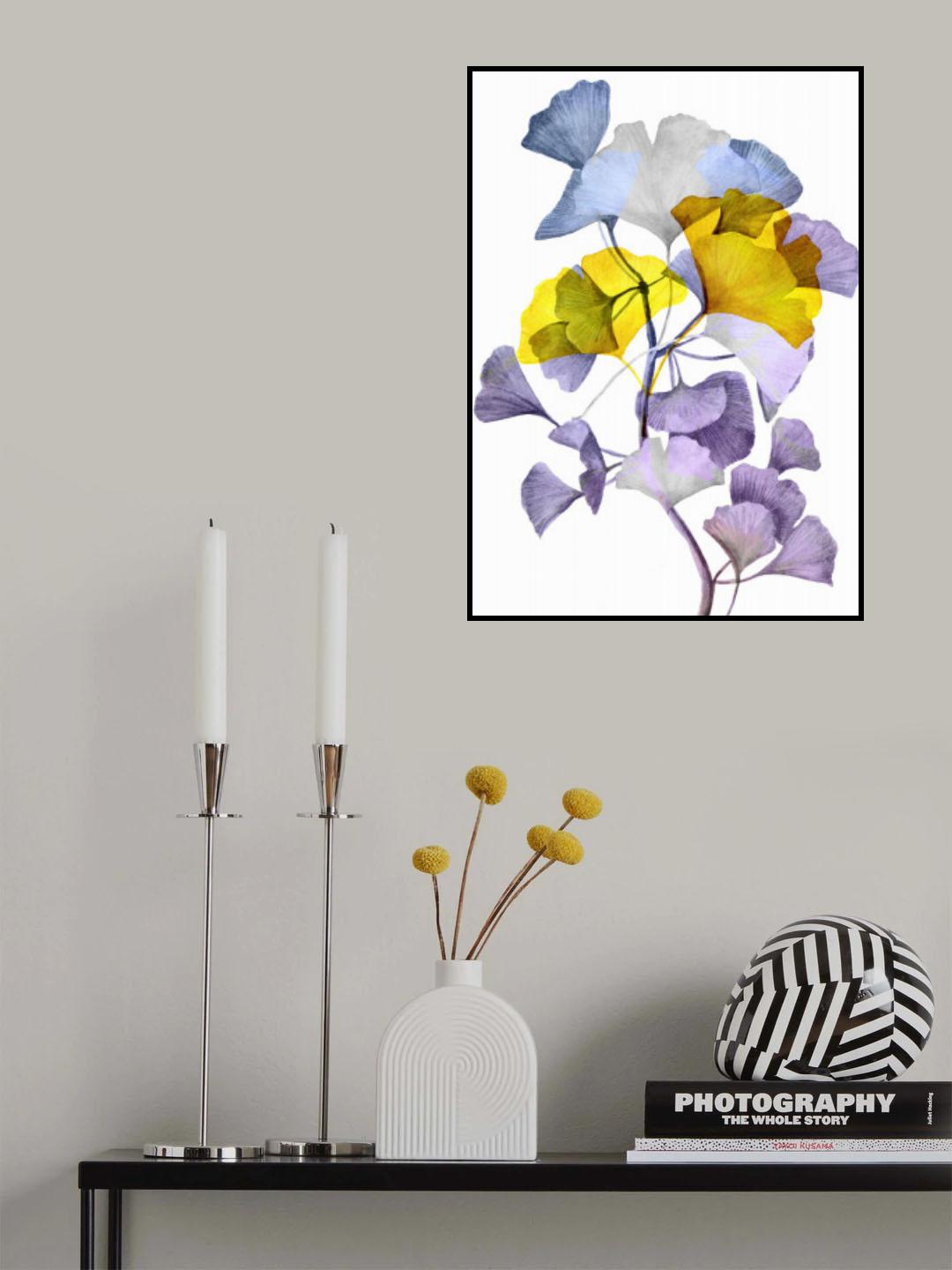 Ginko biloba 1 Poster och Canvastavla