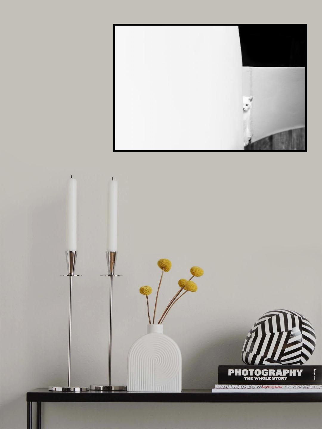 The White Cat Poster och Canvastavla