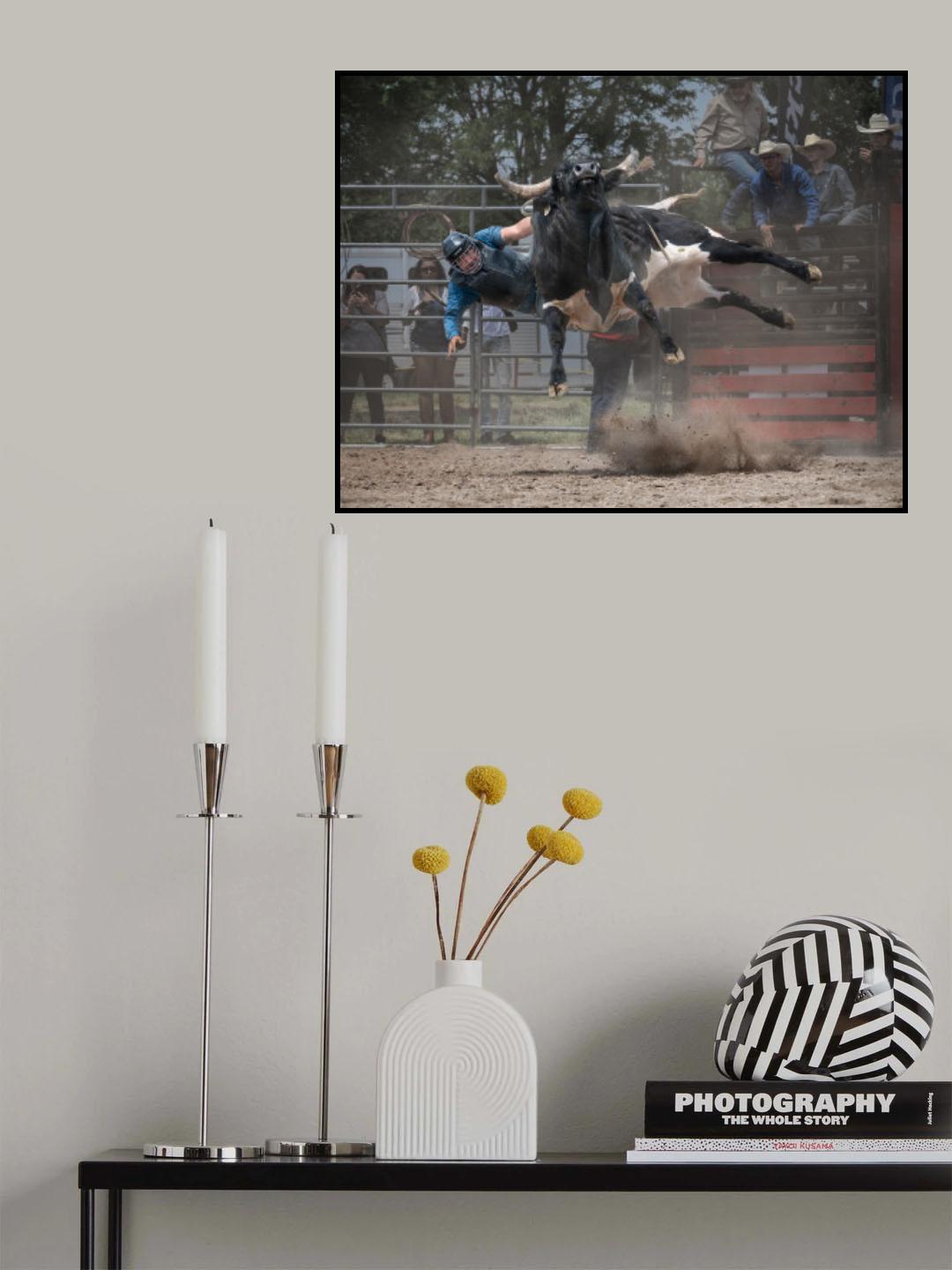 Bull Riding Poster och Canvastavla