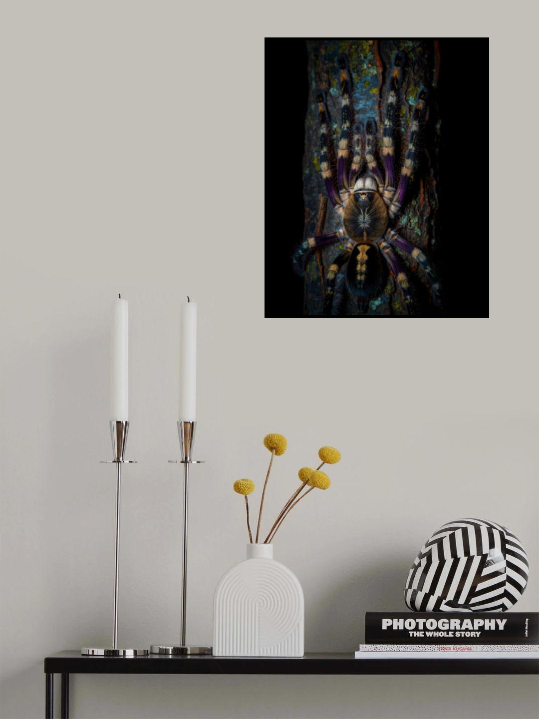 Ivory Ornamental Treespider, after dark Poster och Canvastavla
