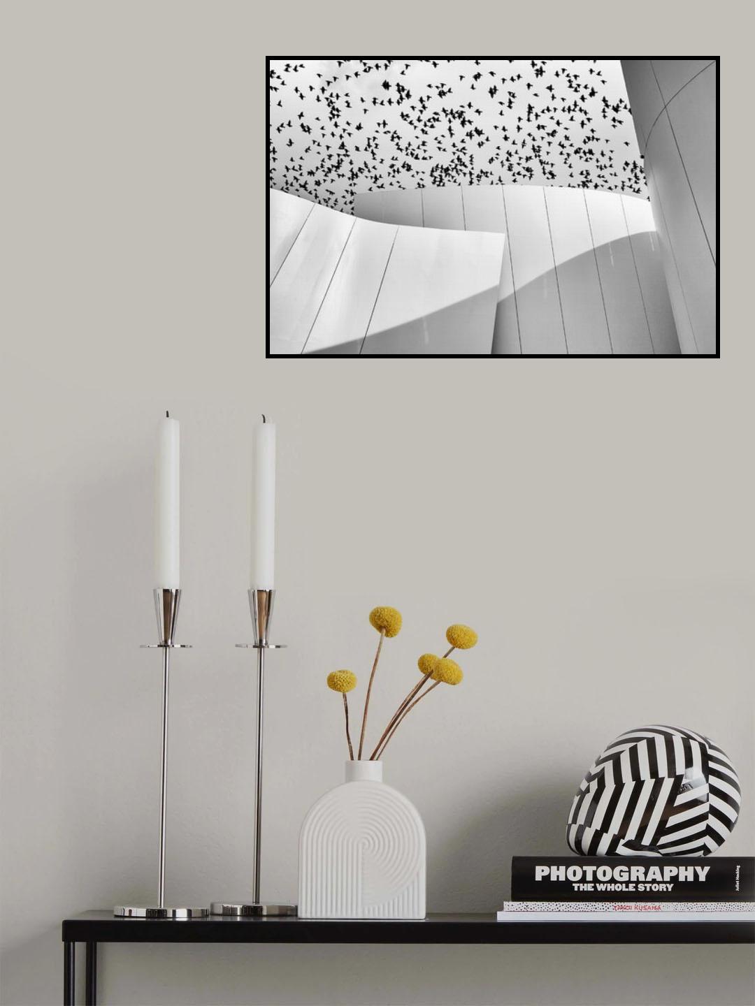 Birds Poster och Canvastavla