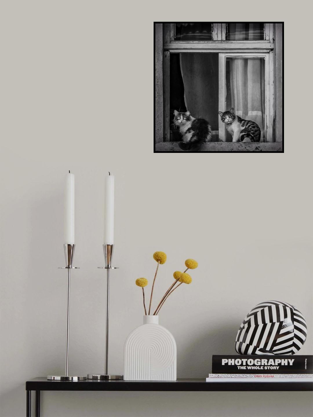 Poster och Canvastavla