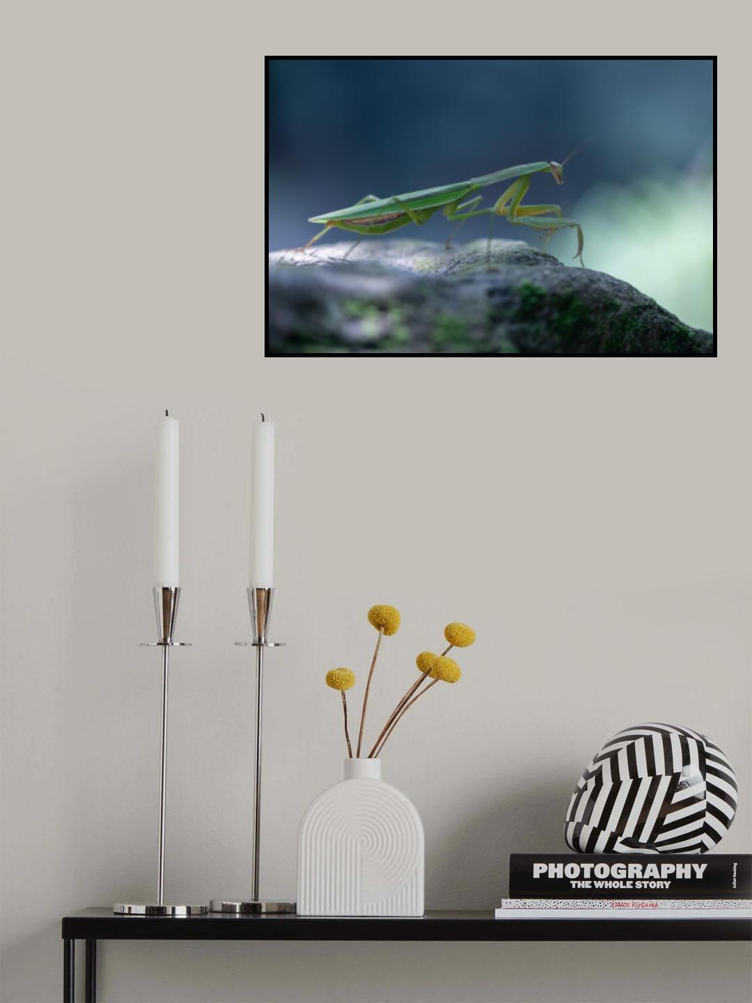 Mantis Poster och Canvastavla