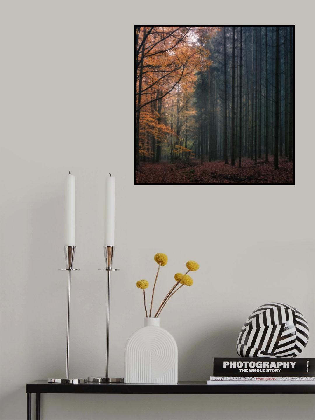 Contrasts Poster och Canvastavla