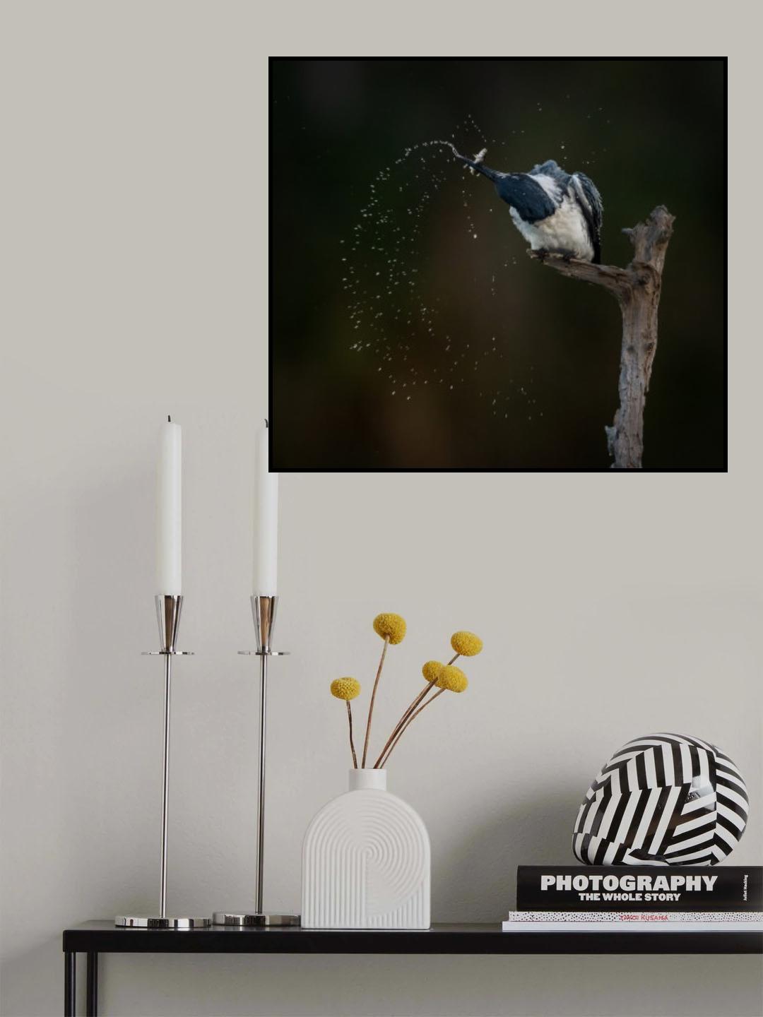 Poster och Canvastavla