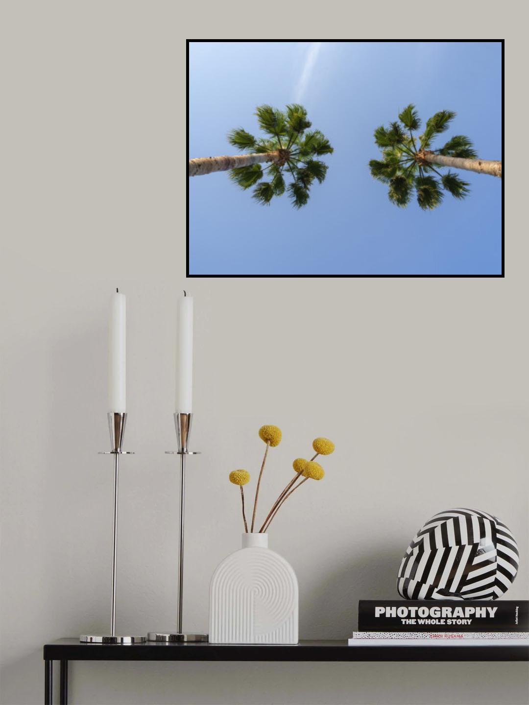 palm trees Poster och Canvastavla