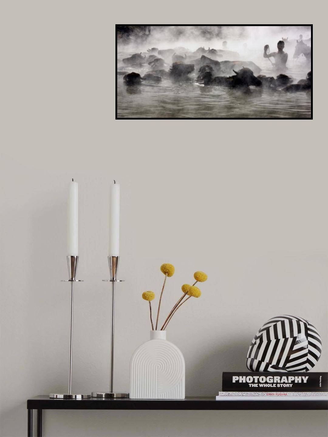 buffalo bathing Poster och Canvastavla