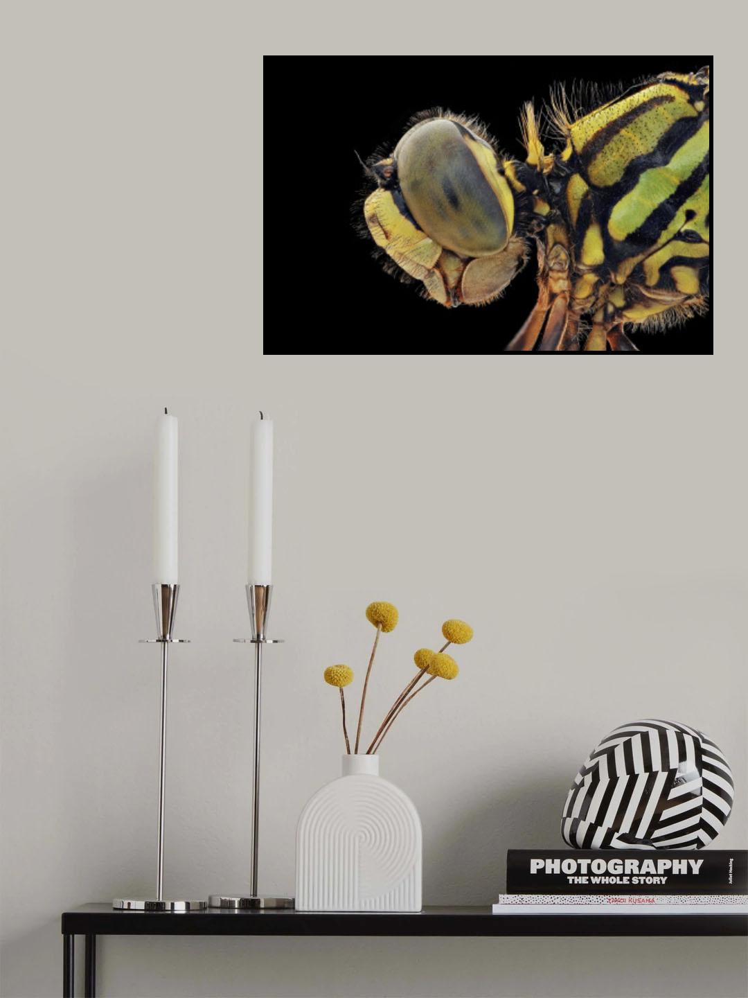 Dragonfly Poster och Canvastavla