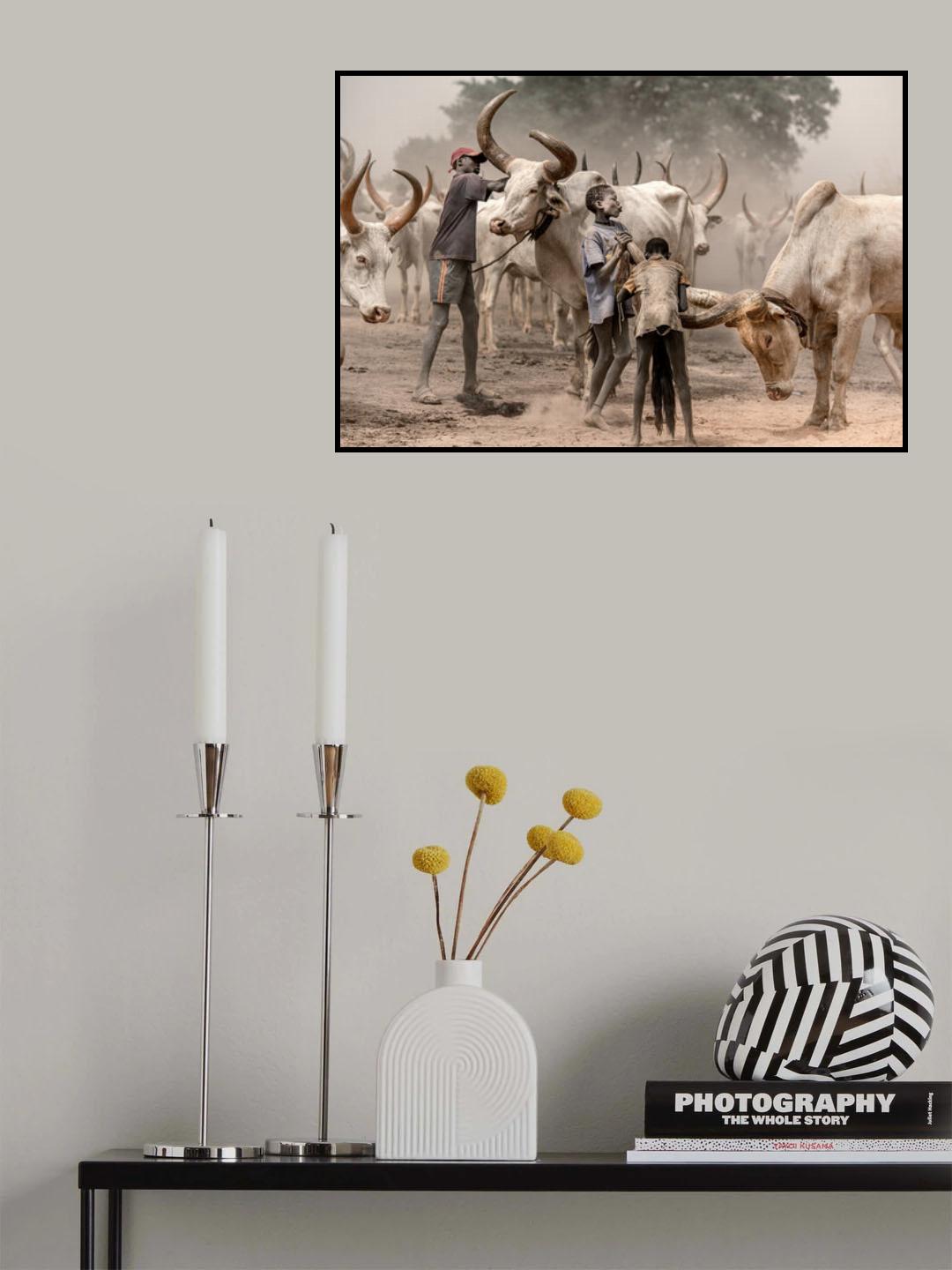Tochmanga cattle camp Poster och Canvastavla