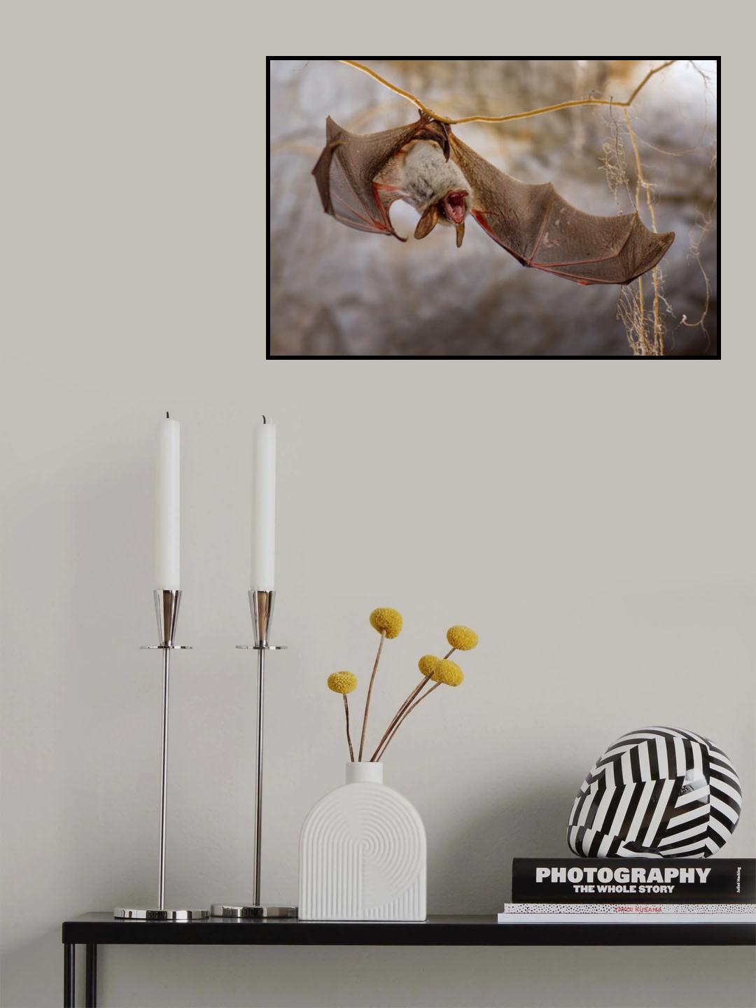 Angry bat Poster och Canvastavla