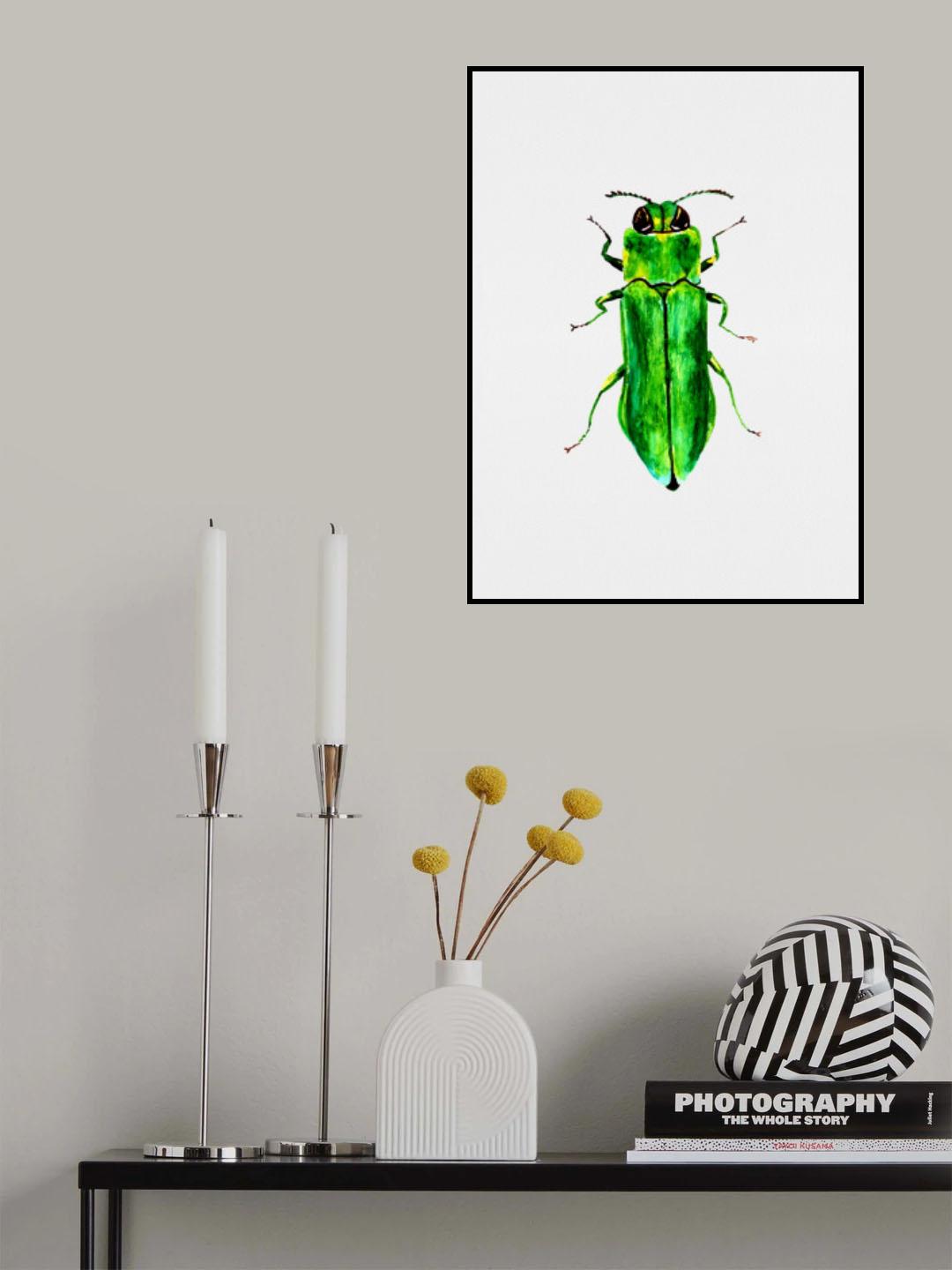 Jewel beetle or Agrilus angustulus Poster och Canvastavla