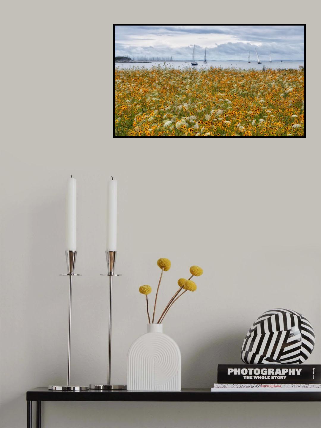Poster och Canvastavla